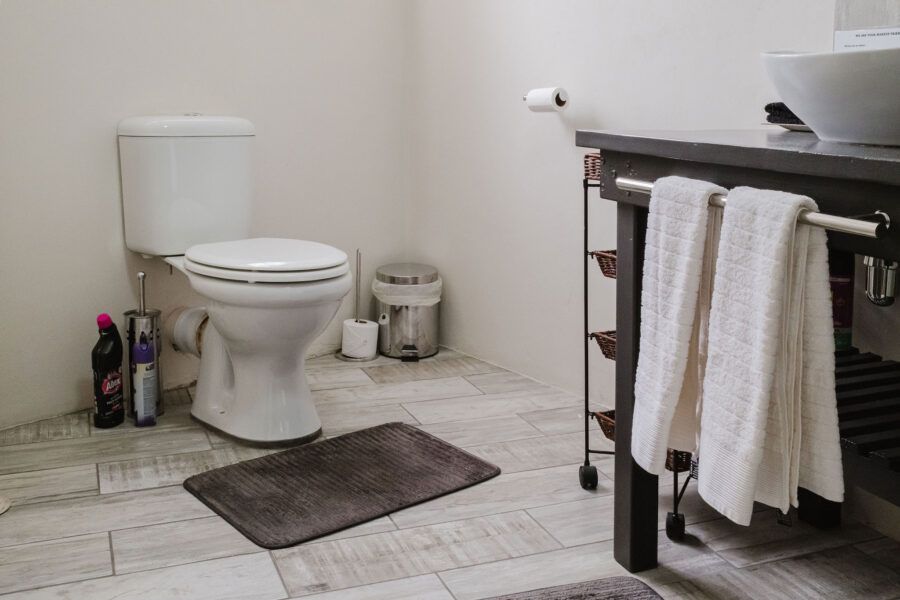 Indlovu Bathroom II